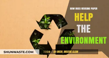 Reusing Paper: A Simple Eco-Friendly Habit to Save Trees and Reduce Waste