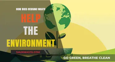 Reusing Waste: A Sustainable Path to Environmental Preservation and Renewal