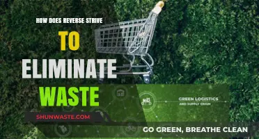 Reverse Logistics: Strategies to Minimize Waste and Maximize Sustainability