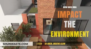 Riba's Environmental Toll: Uncovering the Hidden Ecological Costs of Interest