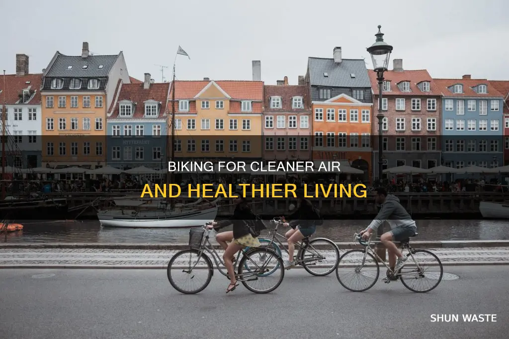 how does riding a bike help prevent air pollution