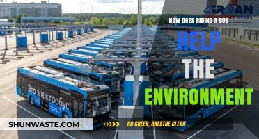 Riding the Bus: A Green Choice for a Sustainable Future