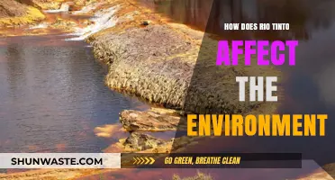 Rio Tinto's Environmental Impact: Mining Practices and Ecosystem Consequences