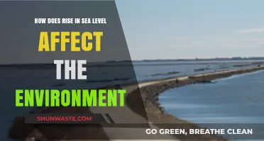 Rising Seas: Unraveling the Environmental Impact of Sea Level Rise