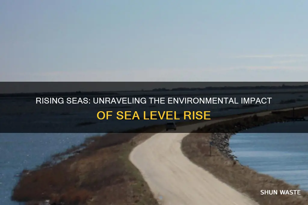 how does rise in sea level affect the environment