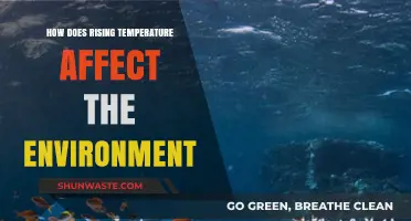 Rising Temperatures: Unraveling the Devastating Environmental Consequences