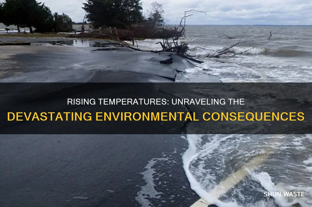 how does rising temperature affect the environment