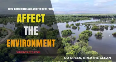 River and Aquifer Depletion: Environmental Impacts and Sustainability Challenges