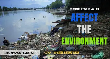 River Pollution's Devastating Impact on Ecosystems and Environmental Health