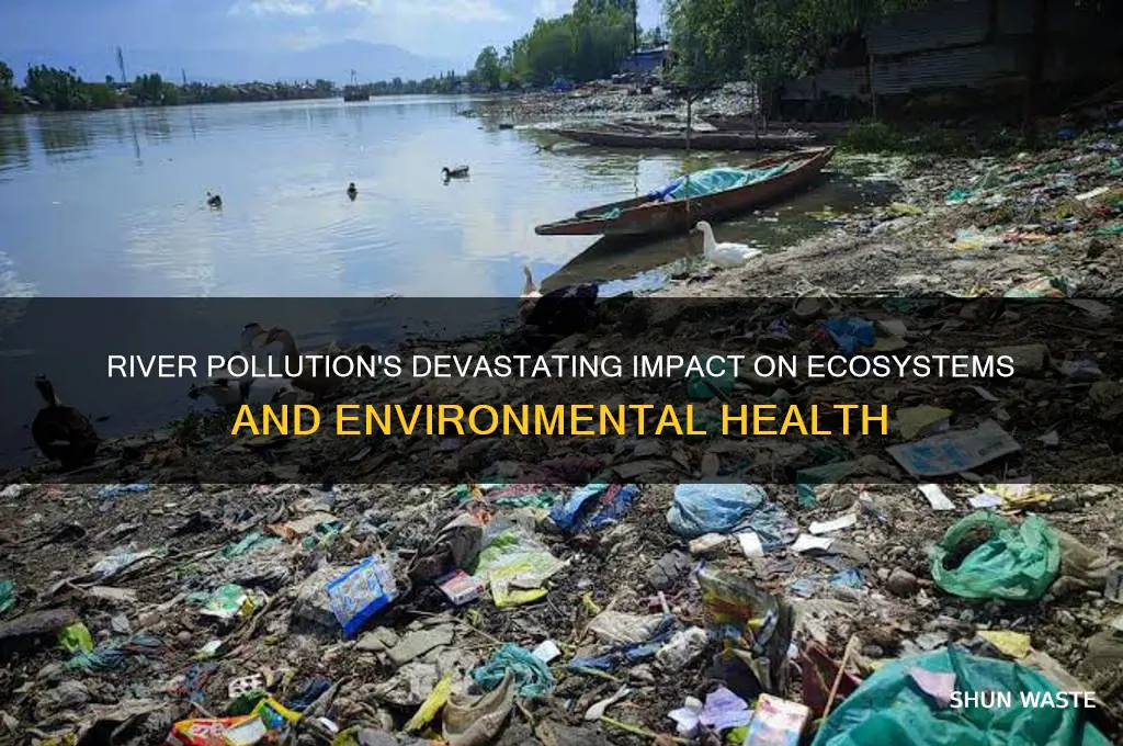 how does river pollution affect the environment