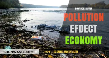 River Pollution: Economic Impact and Environmental Devastation