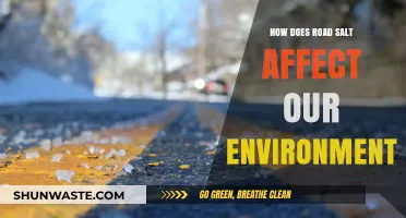 Road Salt's Hidden Costs: Environmental Impacts and Sustainable Alternatives