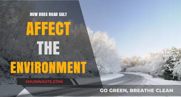 Road Salt's Environmental Impact: Uncovering the Hidden Ecological Consequences