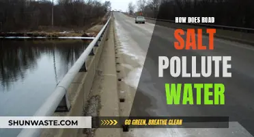 Road Salt's Hidden Threat: How It Contaminates Our Waterways