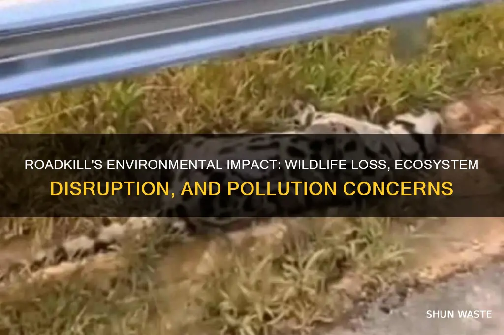 how does roadkill affect the environment
