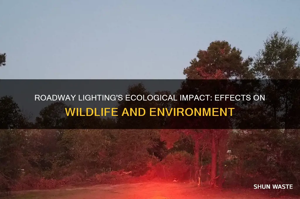 how does roadway lighting impact wildlife environment