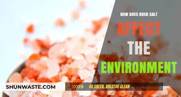 Environmental Impact of Rock Salt: Effects on Ecosystems and Waterways