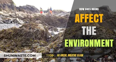 Impact of Rocks on Ecosystems and Environmental Processes Explained