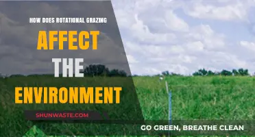 Rotational Grazing: Boosting Soil Health, Biodiversity, and Environmental Sustainability