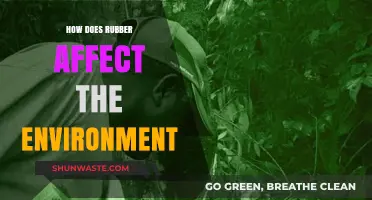 Rubber's Environmental Impact: Pollution, Deforestation, and Sustainable Solutions