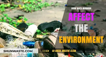 Rubbish's Environmental Impact: Pollution, Wildlife Threats, and Ecosystem Destruction Explained