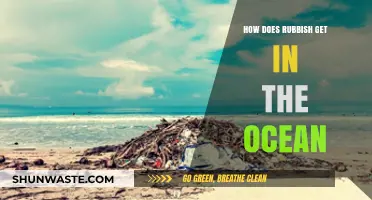 The Ocean's Trash: Where Does It Come From?