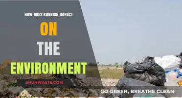 Rubbish's Devastating Environmental Impact: Pollution, Wildlife, and Climate Change