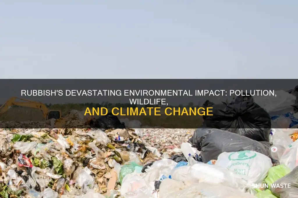 how does rubbish impact on the environment