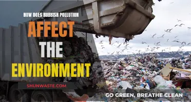 The Impact of Rubbish Pollution on Our Environment