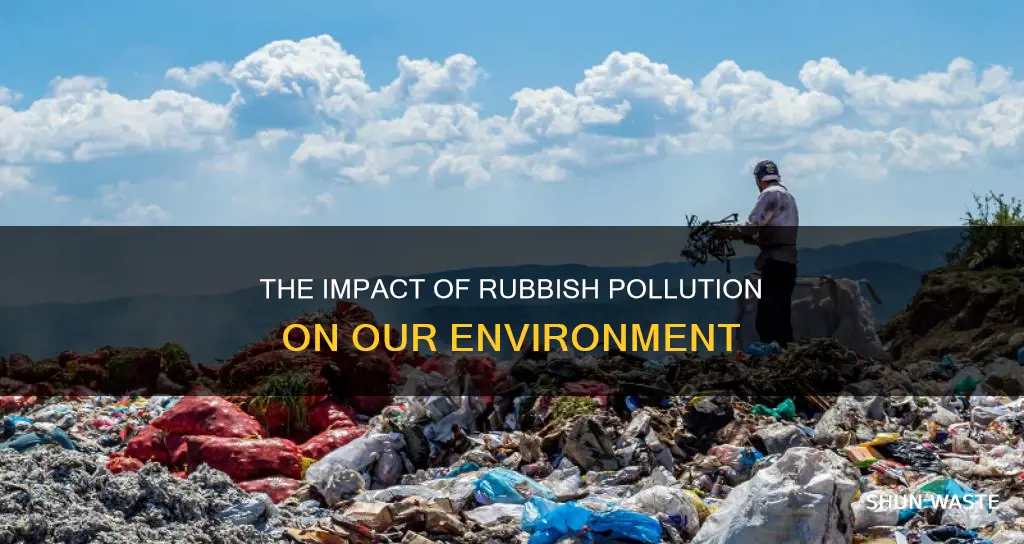 how does rubbish pollution affect the environment