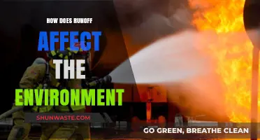 Runoff's Environmental Impact: Pollution, Erosion, and Ecosystem Disruption Explained