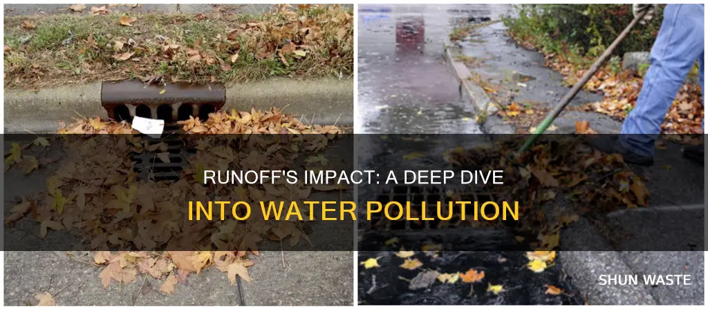 how does runoff cause water pollution