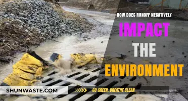 Runoff's Devastating Effects: How It Harms Ecosystems and Water Quality