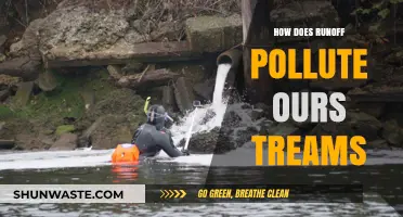 Runoff's Impact: Polluting Our Streams and Rivers