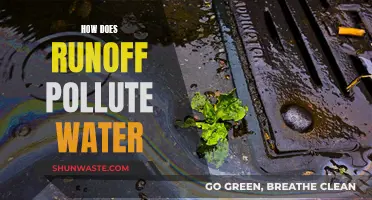 Runoff's Dirty Secret: How It Contaminates Our Waterways