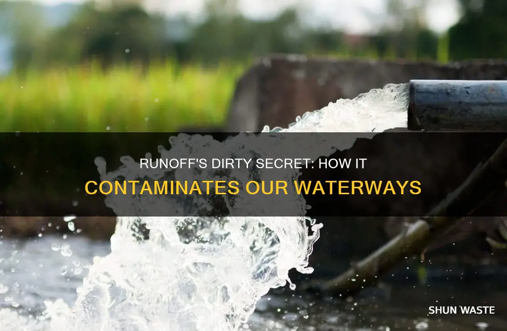 how does runoff pollute water