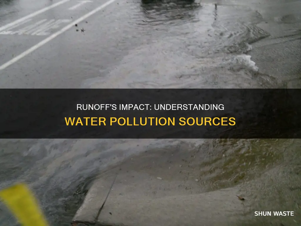 how does runoff pollute water