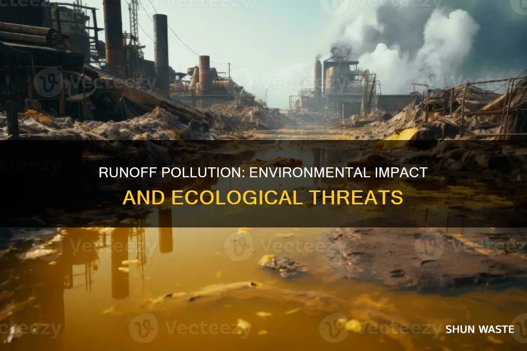 how does runoff pollution affect the environment