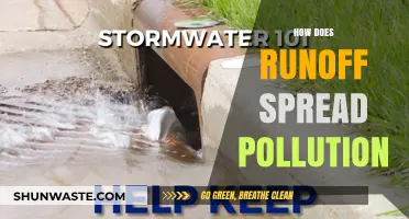 Runoff's Pollution Trail: Understanding the Spread