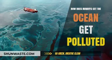 Runoff Pollution: How Does It Affect Our Oceans?