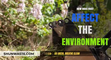 Rust's Environmental Impact: Corrosion's Hidden Costs on Nature and Resources