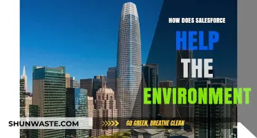 Salesforce's Green Impact: Sustainable Solutions for a Healthier Planet