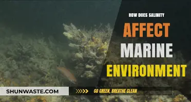 Salinity's Impact: Understanding Its Effects on Marine Ecosystems and Life