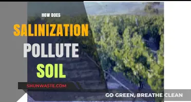Salinization: Understanding the Soil-Polluting Process