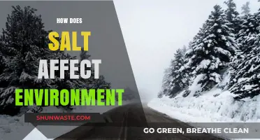 Salt's Environmental Impact: Uncovering Its Effects on Ecosystems and Wildlife