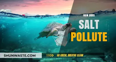 Salt Pollution: A Hidden Environmental Threat
