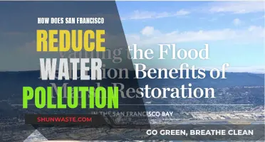 San Francisco's Green Revolution: Strategies to Combat Water Pollution