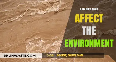 Sand's Environmental Impact: Exploring Its Effects on Ecosystems and Landscapes