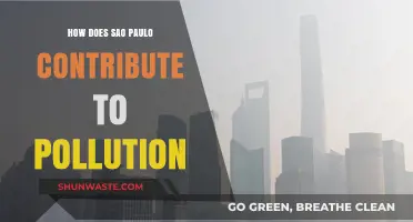 Sao Paulo's Dark Side: Pollution's Root Cause