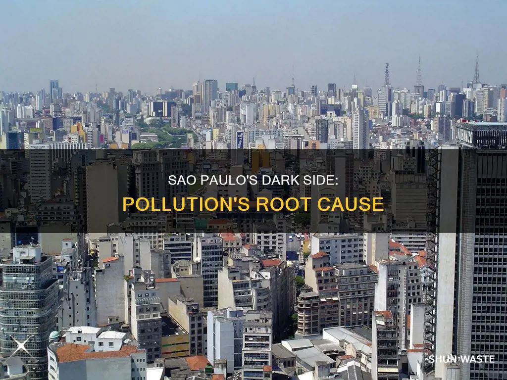 how does sao paulo contribute to pollution
